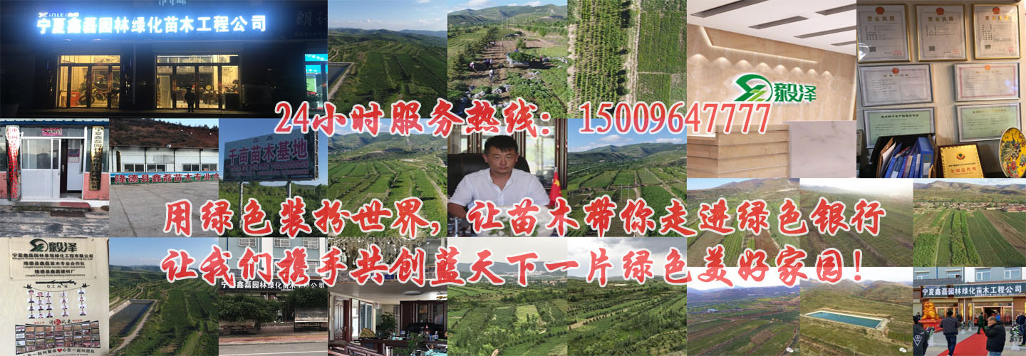 下载贝博app连接