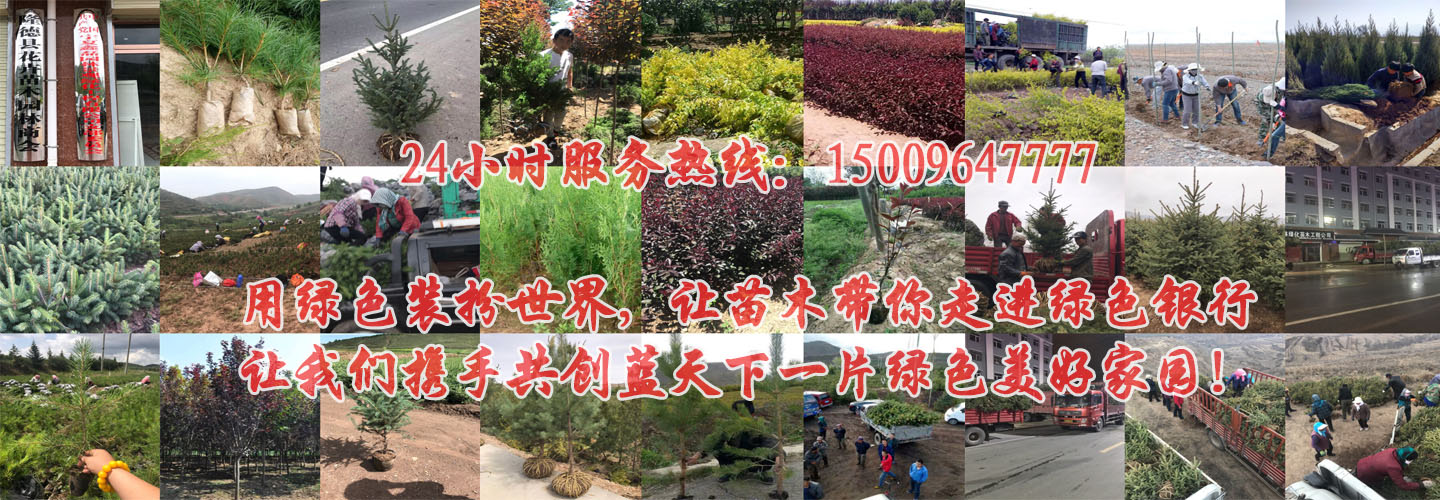 贝博软件下载